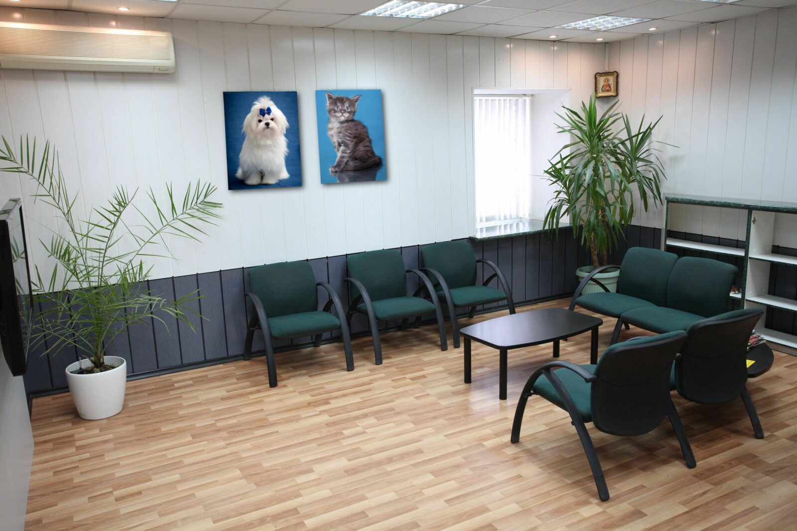 Veterinary office for lease.