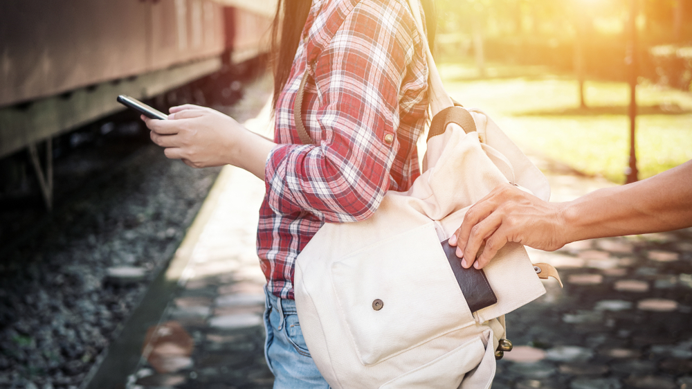 Pickpocket steals documents and tablet from distracted tourist.