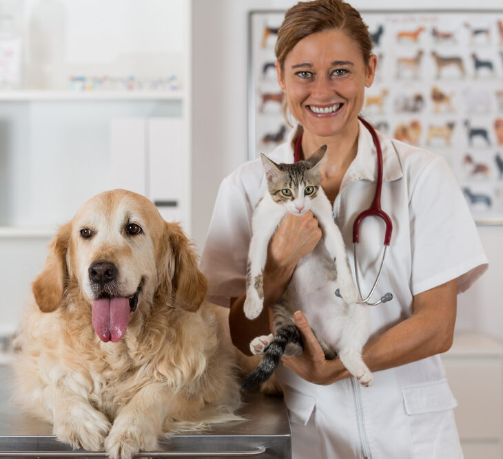 Photo of veterinarian with a dog and a cat. Starting a practice means looking for veterinary banking services for a strong financial foundation.