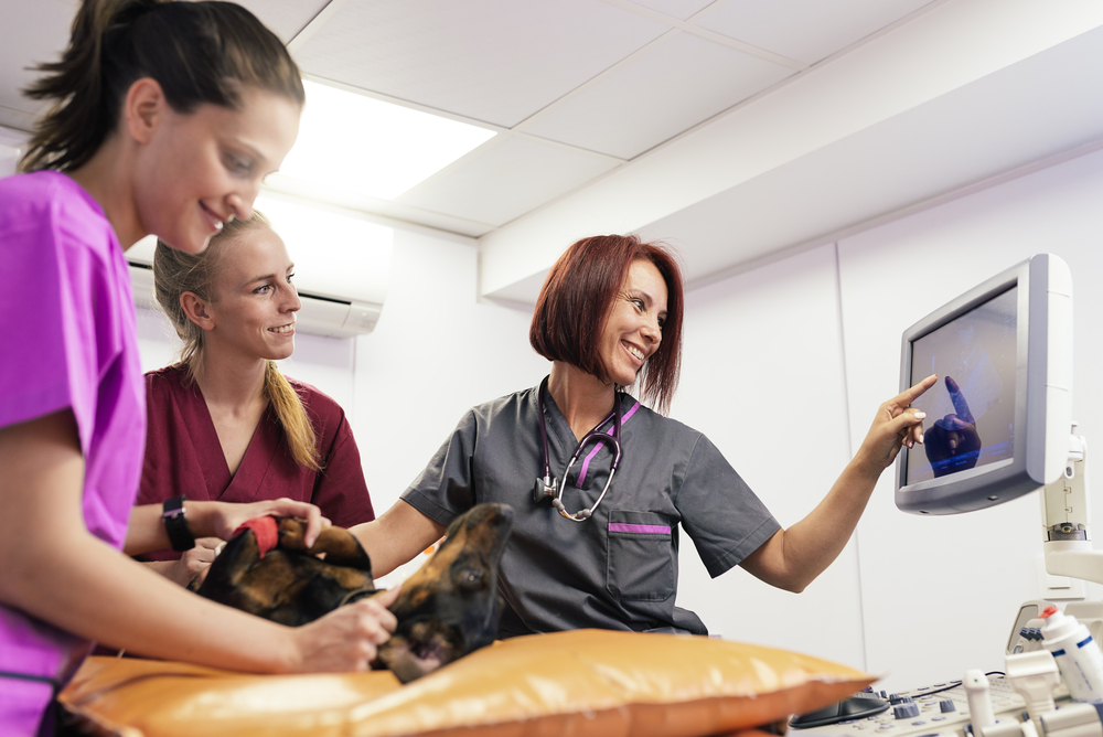 Photo of veterinarian and medical technician with new equipment purchased with working capital